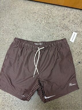 Pacsun Brown Pinstripe Swim Trunks